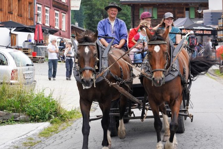 Kutscher Andrea Stiffler