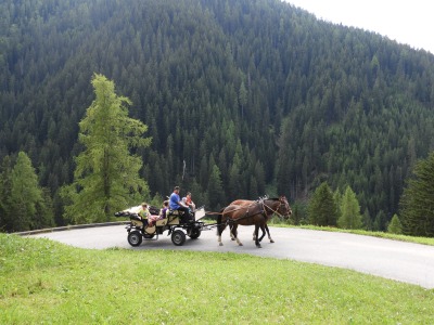 Monsteiner Dorffest 2019